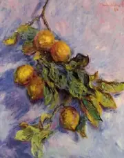 Branch Of Lemons By Claude Monet Painting Artwork Art Paint By Numbers Kit DIY