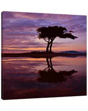 Perspectives by Dominic Liam