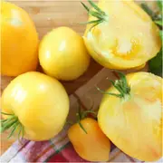 Tomato - Oxheart Yellow seeds