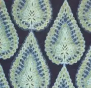 VERVAIN La Zucca on Velvet printed cotton indigo green large paisley new remnant