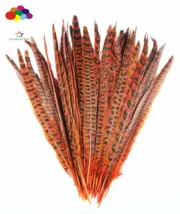 Pheasant tail Feather dyed orange 10-14 inch/25-35 cm 100 Pcs carnival Diy mask