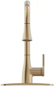 FLOW FLOWClassic-CMP Classic Pull-Down Sprayer Kitchen Faucet in Champagne Gold