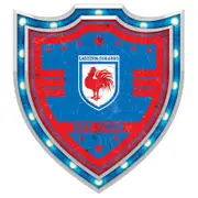 Eastern Suburbs Roosters NRL Light Up Bar Sign Plaque Shield