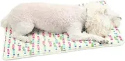 DINHEAROM Pet Cool Mat Cat Dog Summer Cooling Cushion Easy Clean Ice Pad for Heat Dissipation Durable Lightweight Design for Pets