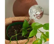 ANNABEL TRENDS Plant Water Bubble - Daisy