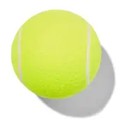 All Day Fetch Ball Dog Toy Yellow