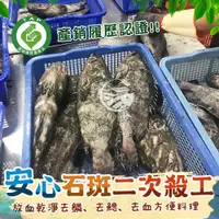 在飛比找蝦皮購物優惠-台灣龍虎斑石斑魚，殺清後急速冷凍真空包裝-500~600G±