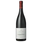 Castino Barbera d'Asti Del Fan DOCG 2022 - Buy Online | The Wine Collective Marketplace