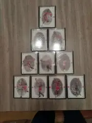 1998-99 UD SP Authentic Michael Jordan Complete Set of 10 Cards #1-10