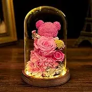 FIZOZI-Pink Preserved Rose in Glass Dome with Moss Bear | Valentine's Girlfriend | Romantic Home Decor | Long-Lasting Floral Arrangement (Pink)
