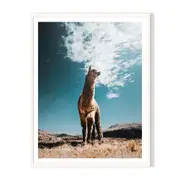 Llama Framed Wall Art - White