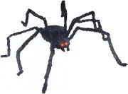 Spider - Sunstar Industries