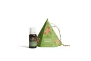 Oil Garden Christmas Bauble Under the Mistletoe