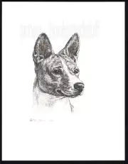 400 BASENJI dog art print portrait * Pen and ink drawing by Jan Jellins
