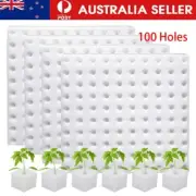 100 Holes Soilless Hydroponic Sponge Seed Growing Media Square Foam Seedlings