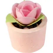 Bomb Cosmetics Garden Party Scented Bath Bomb Mallow Body Fragrance Fizzies