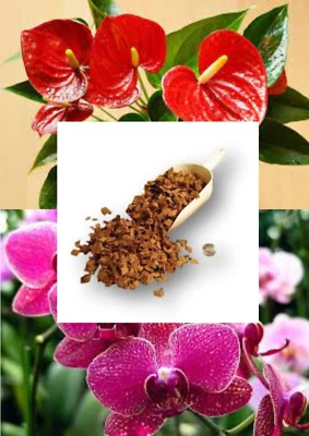 Natural COCONUT HUSK CHIPS Orchid Anthurium Organic Media Fiber Coco Chips 500g