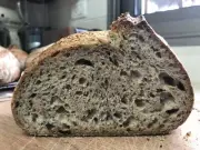 San Francisco live SOURDOUGH STARTER heirloom collection Organic wharf@