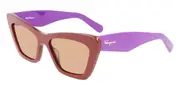 Salvatore Ferragamo SF 929S 209 Men's Sunglasses Brown Size 55