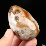 2.5" Ocean Jasper Polished Stone, Crystal Healing