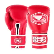 Bad Boy Boxing Gloves