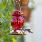 Hummingbird Feeder Nature's Way Ruby Visions Hummingbird Feeder, 25 oz.