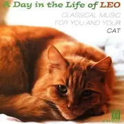 A Day In The Life Of Leo Cla