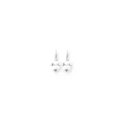 14k White Gold 5mm Princess Cut Cubic Zirconia Leverback Earring