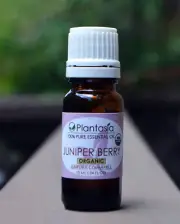 Juniper Berry Certified Organic Essential Oil 100% Pure fm Bulgaria by Plantasia