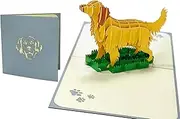 Golden Retriever Pop Up Card, Blank Card With Envelop, Birthday Card from Dog, Golden Retriever Birthday Card, Retirement, Thank You, Golden Retriever Gift, Birthday Card Womens, Dog Mom Card
