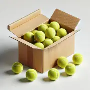 VIV Advanced Tennis Balls, 3 - 200+ Case Official Size Practice Tennis Balls ...