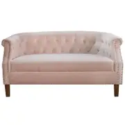 Design Square Designer Modern Velvet Fabric Loveseat 2-Seater Lounge Couch Sofa - Pink