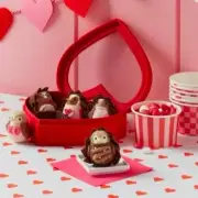 New Spritz Chocolate Bird Valentine's Day Box Decor