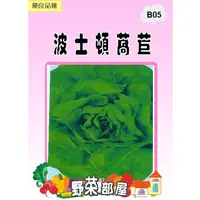 在飛比找蝦皮購物優惠-【野菜部屋~】B05 日本波士頓萵苣種子0.8公克 , 又名