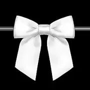 Rainbow Pana 120 Pack Twist Tie Bows for Treat Bags 3" White Satin Ribbon Bows for Package Craft Gift Wrapping Decoration