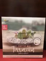 Buzzy DIY Cactus Mix Terrarium Complete Grow Kit: Glass,Rocks,Medium & Seed Pack