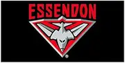 Essendon Bombers Flag Pole Flag