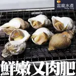 【盅龐水產】(翡翠牌)熟凍海螺50/80 - 重量1KG±5%/包