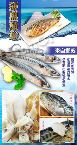 免運【老爸ㄟ廚房】正宗頂級肥美挪威鯖魚片200-220g/片 (4.7折)