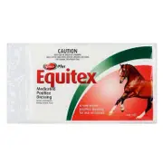 Value Plus - Equitex Medicated Poultice Dressing (44g)