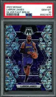 1 Lebron James Card + 9 Panini Cards NBA HOT Pack w/ 5 Rookies! Mystery Repack!