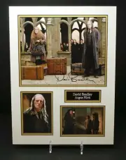 David BRADLEY Signed Mounted Harry POTTER Photo Display AFTAL RD COA Argus FILCH