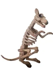 Skeleton Rat Halloween Decoration