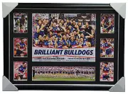 2016 AFL PREMIERS WESTERN BULLDOGS DELUXE TRIBUTE FRAME JASON JOHANNISEN BOYD
