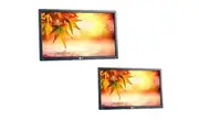 Bulk of 2x LG 24" FLATRON E2411PU FHD LCD Monitor (1920x1080) Built with Speakers - NO STAND | Refurbished