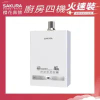 在飛比找momo購物網優惠-【SAKURA 櫻花】16L四季溫智能恆溫熱水器DH1637