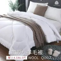 在飛比找momo購物網優惠-【BELLE VIE】台灣製 100%澳洲純小羊毛單人冬被/