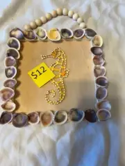 Wooden Seahorse On a Square Wooden Frame Wurrounded By Purple Venus Clamshells