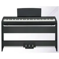 在飛比找蝦皮購物優惠-亞洲樂器 YAMAHA P-115 / P 115 電鋼琴 