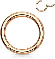 [BodyJewelryOnline] Anodized Hinged Segment Hoop Ring Multiple Use 1/2